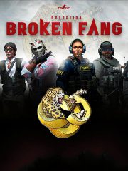 Counter Strike Global Offensive Operation Broken Fang